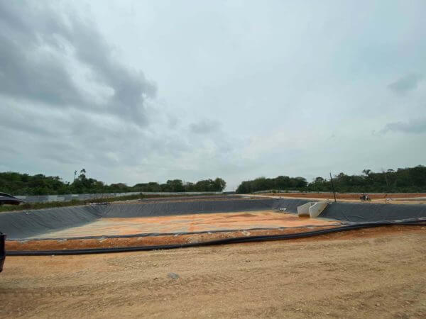 shrimp pond in Malaysia