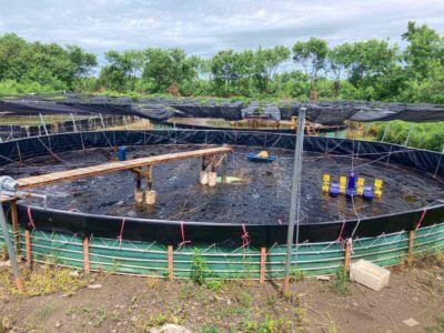 fish tank pond liner