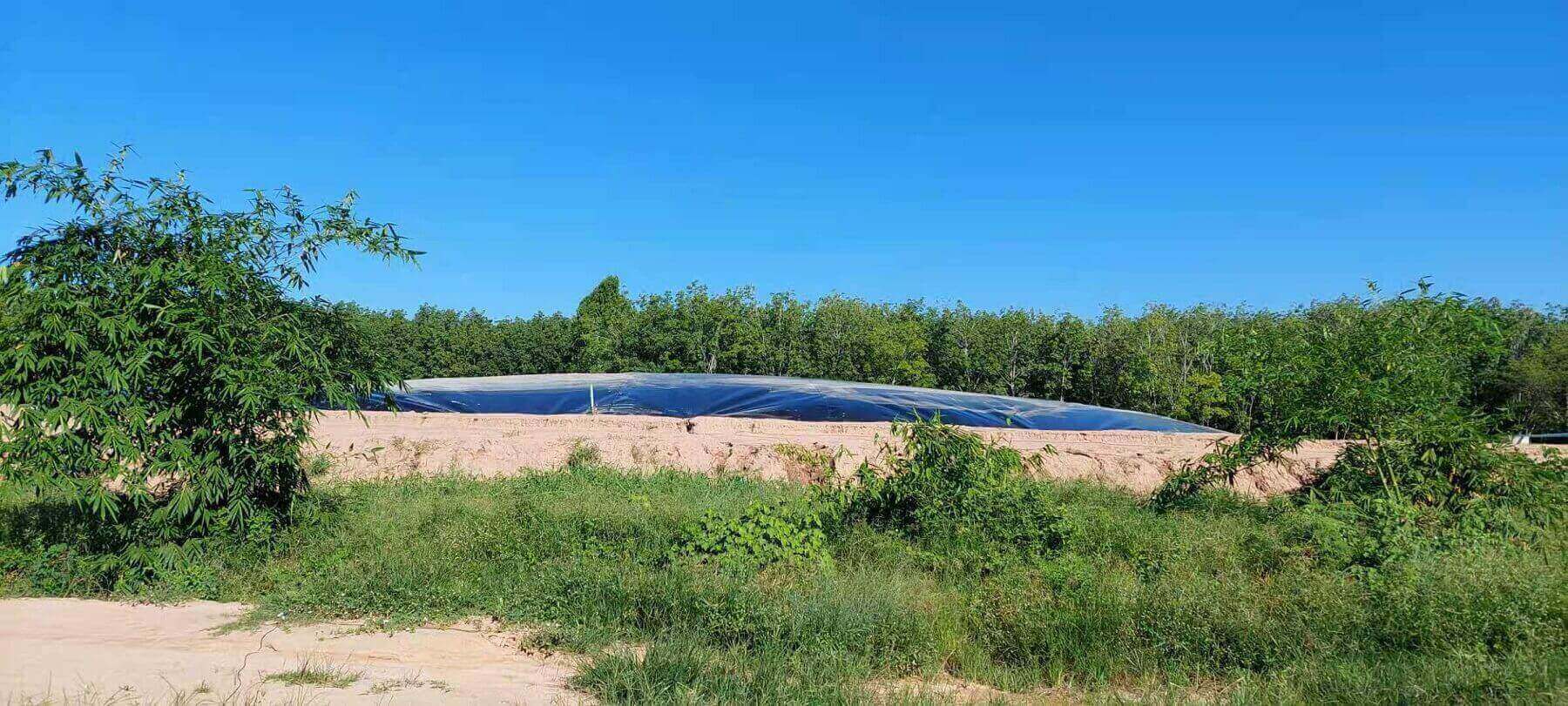 biogas digester liner
