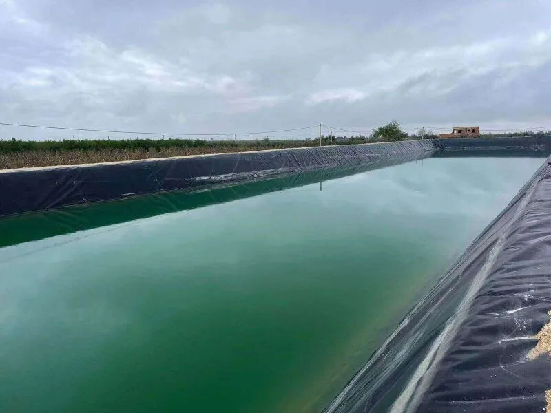 High Density Polyethylene Pond Liners