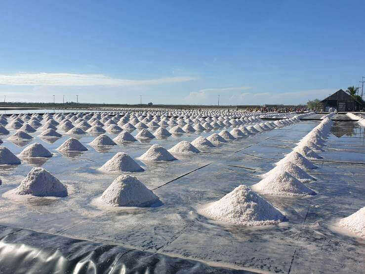 polyethylene sheet for salt